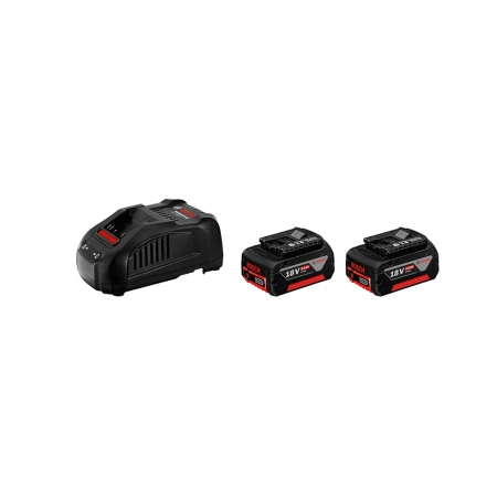 Bosch Akku Set 18V 5.0 Ah - 1600A00B8J